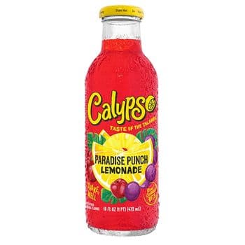 Paradise Punch Lemonade - 16 Oz