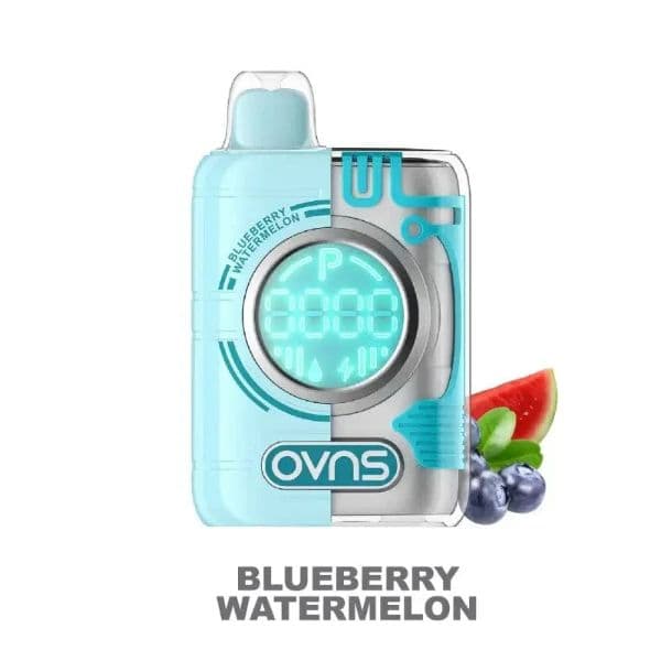 OVNS Puff Geek / Blueberry Watermelon