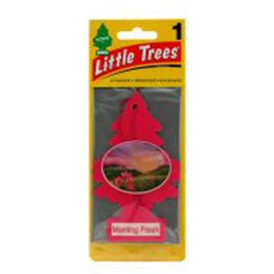 Car Air Freshener Little Tree / Morning Fresh